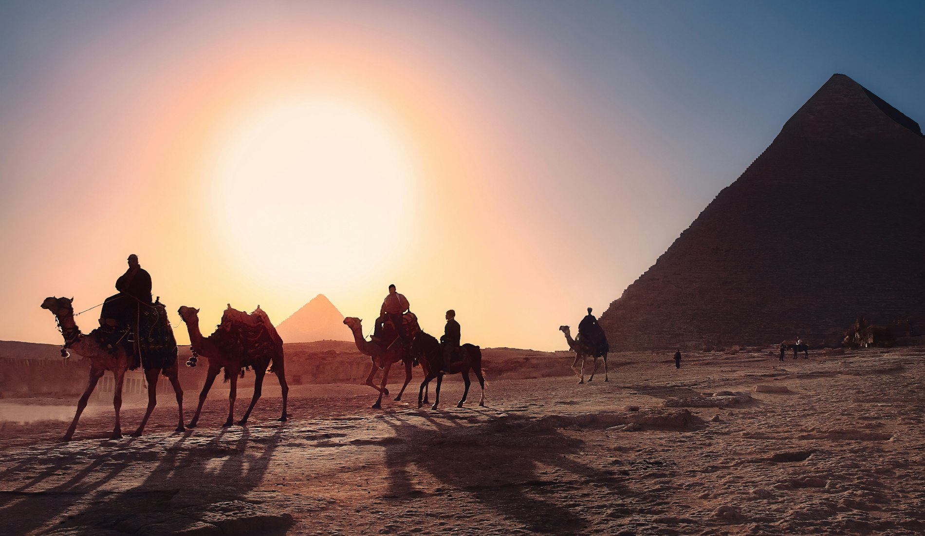 Camels beside the pyramids at sunset