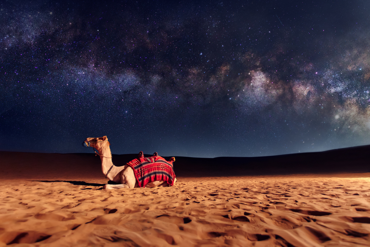 A desert safari