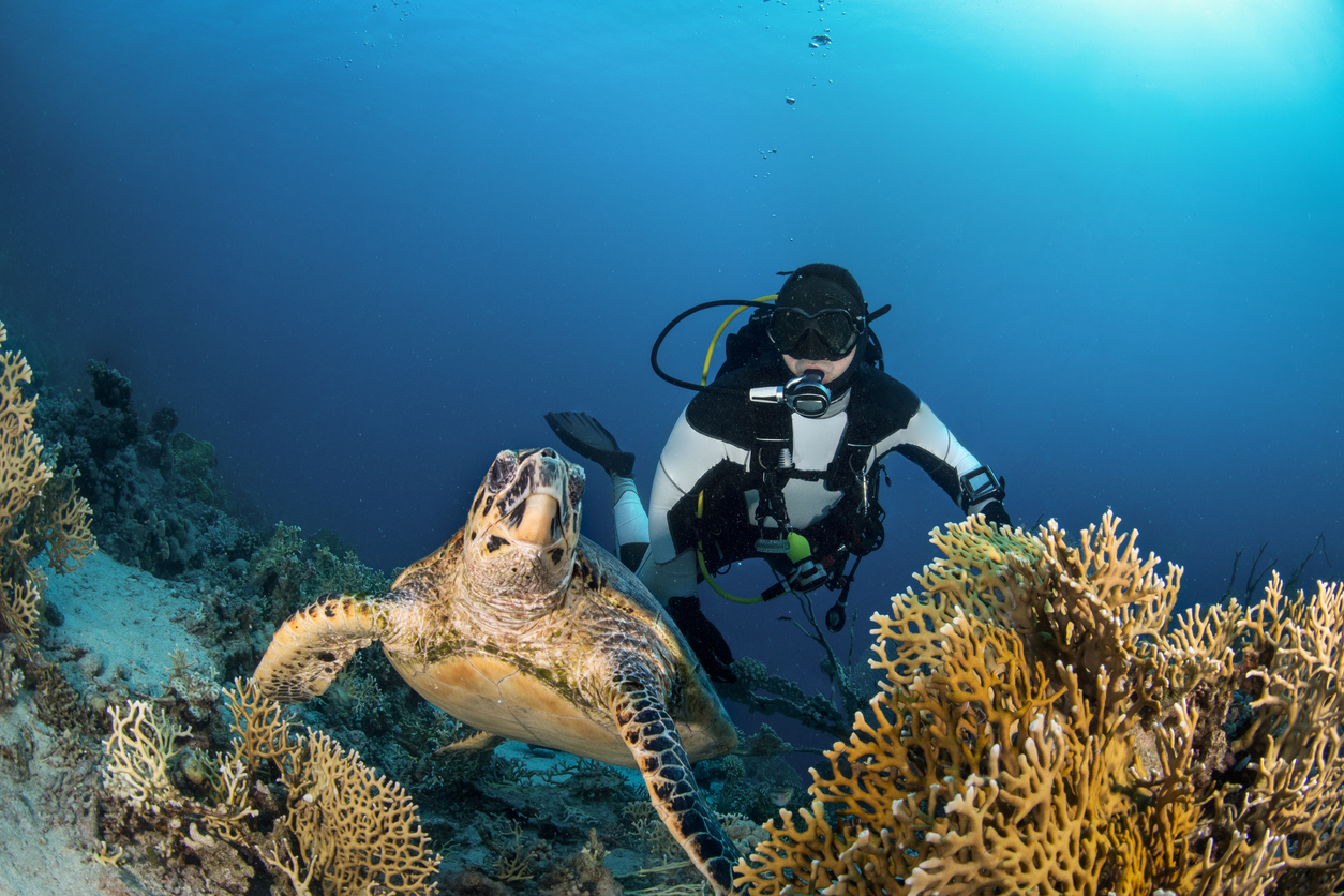 The Gulf islands: Koh Samui, Koh Tao & Koh Pha-ngan
