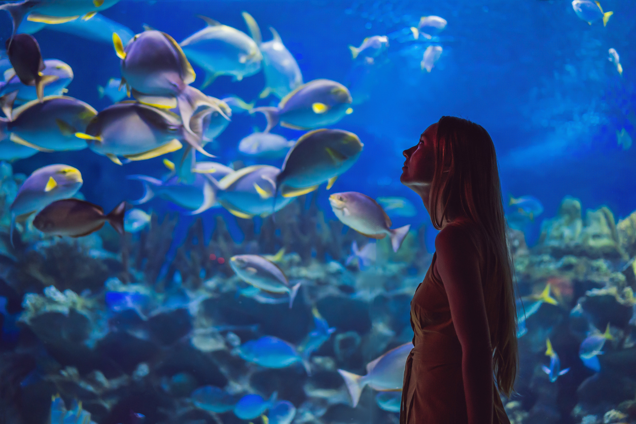 The Dubai Mall & Dubai Aquarium