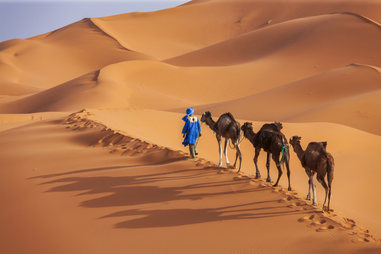 The Sahara at Merzouga or Zagora
