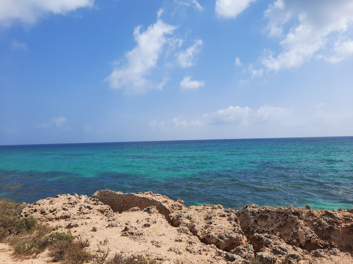 Red Sea coast & Farasan Islands