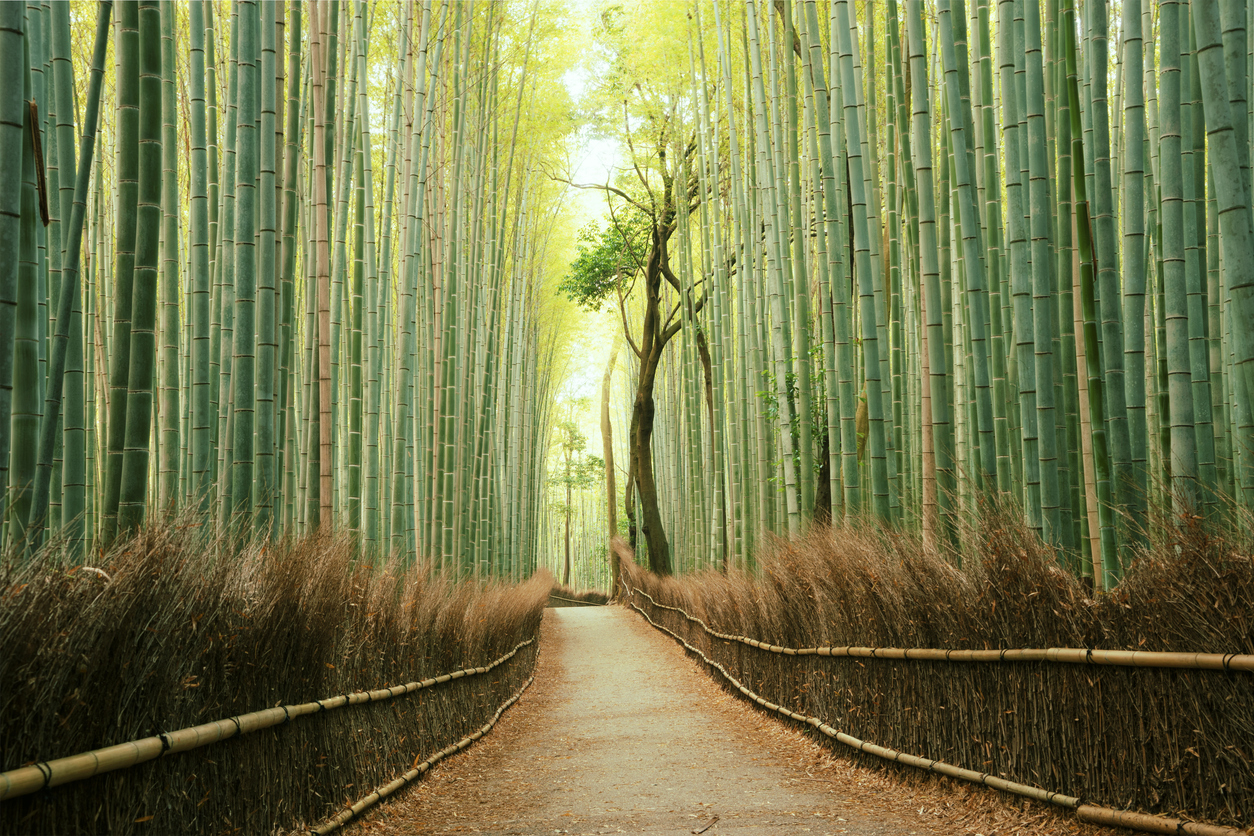 Kyoto